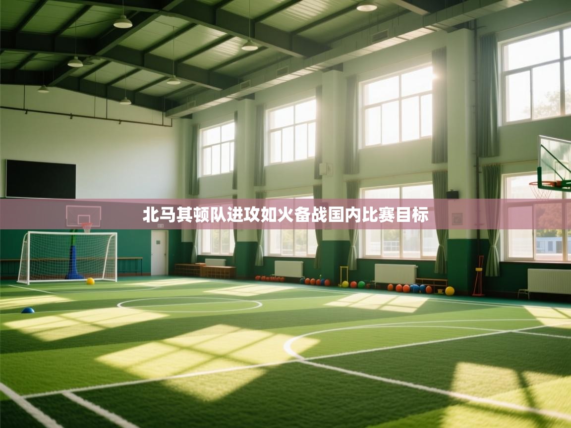 北马其顿队进攻如火备战国内比赛目标
